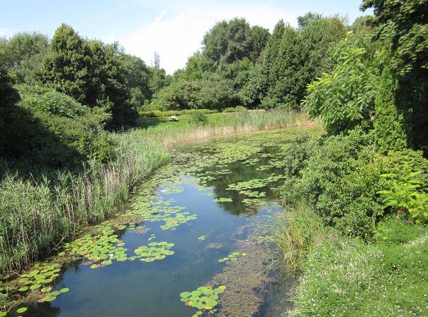 A Stream in Montreal 1